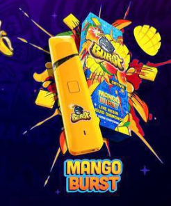 Mango Burst Disposable